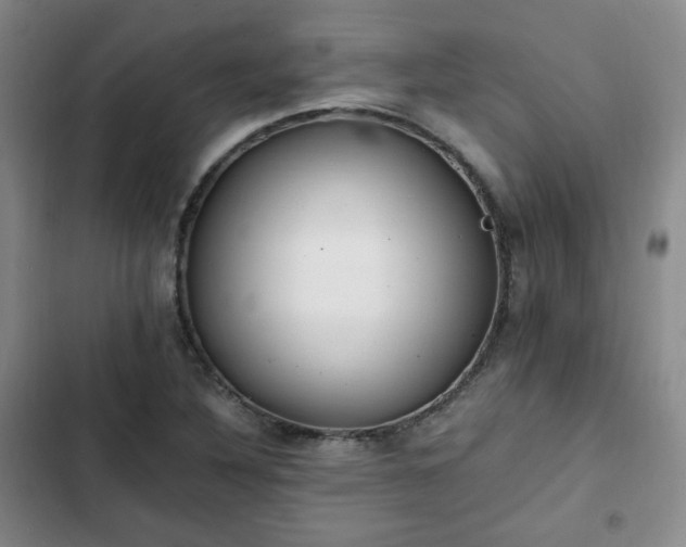 X0000102761316200808251019