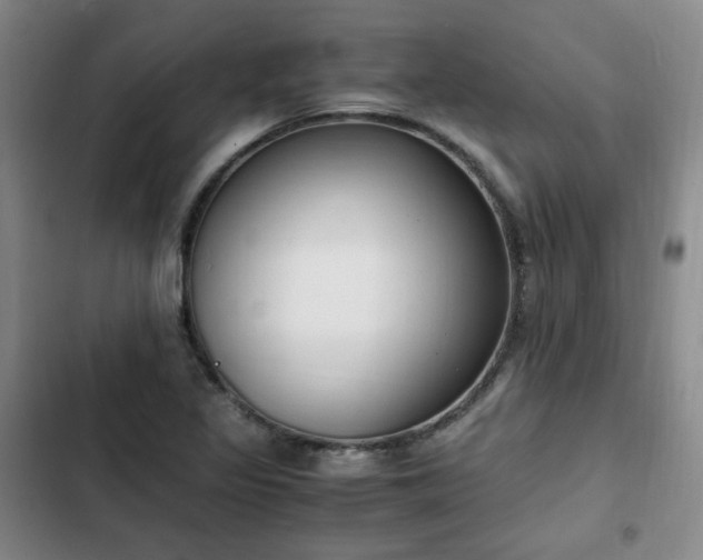 X0000102761317200808251019