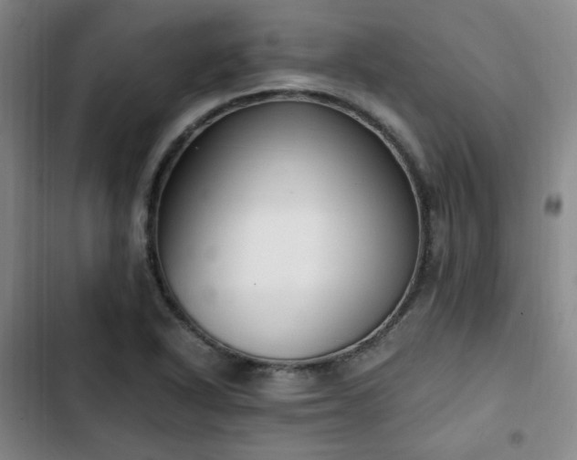 X0000102761318200808251019