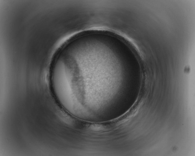 X0000102761319200808251019