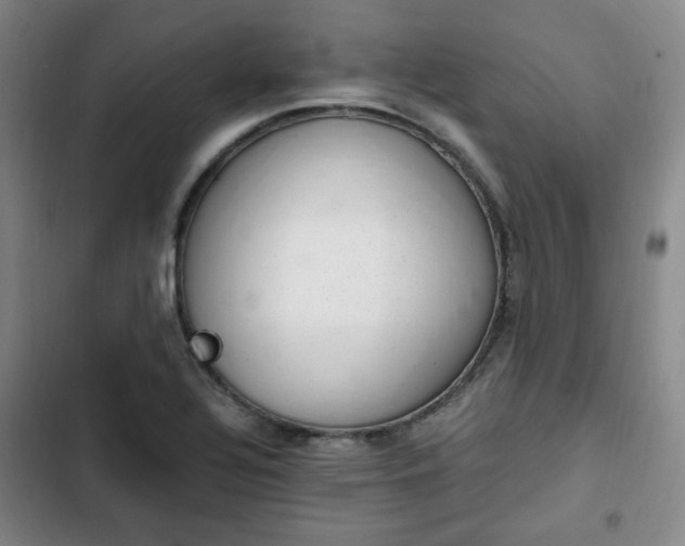 X0000102761320200808251019