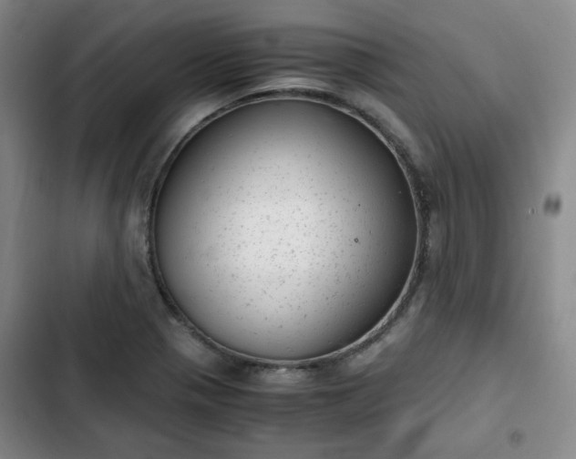 X0000102761321200808251019