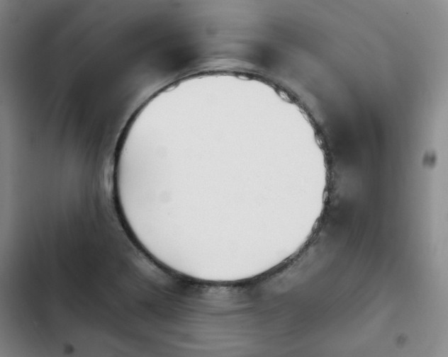 X0000102761322200808251019