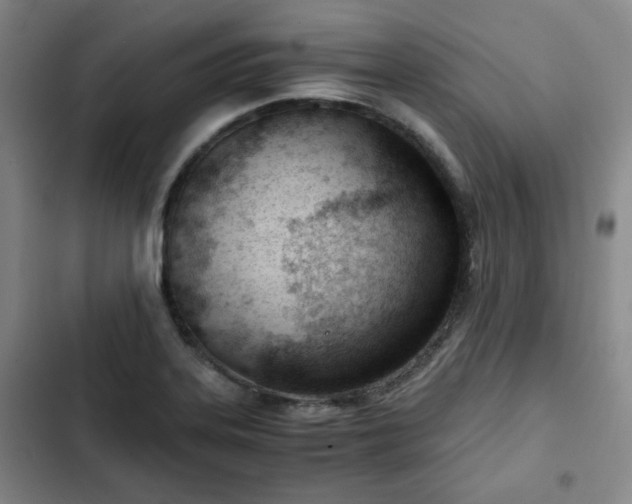 X0000102761323200808251019