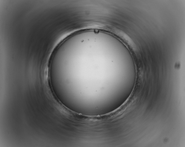 X0000102761324200808251019