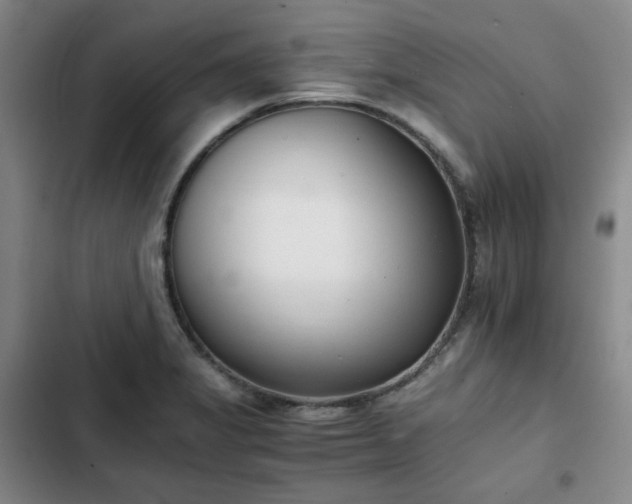 X0000102761325200808251019