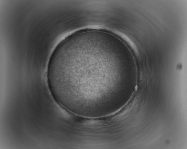 X0000102761327200808251019