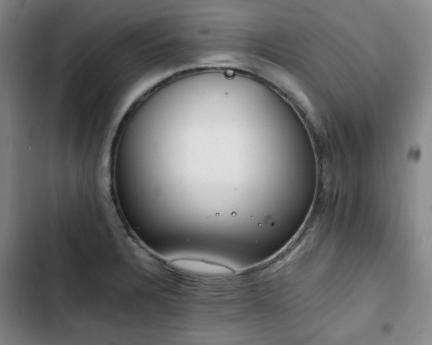 X0000102761328200808251019