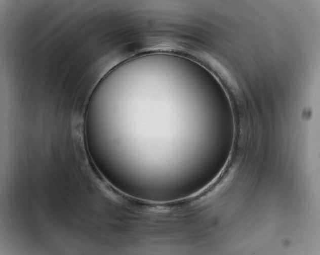 X0000102761329200808251019