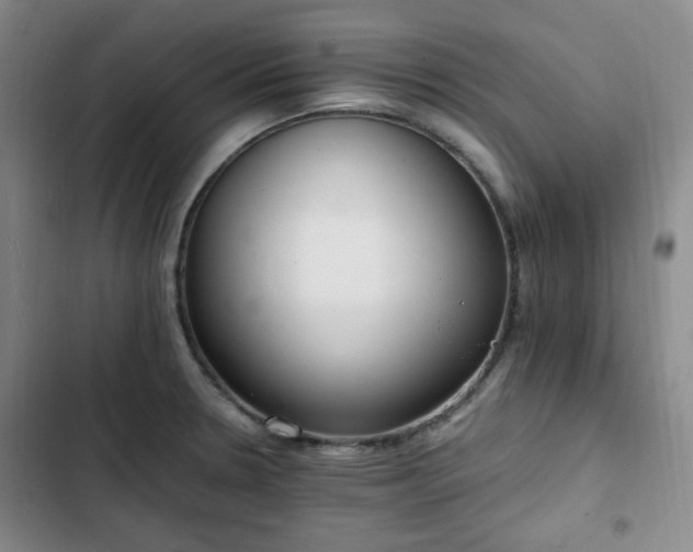 X0000102761330200808251019