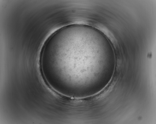 X0000102761331200808251019