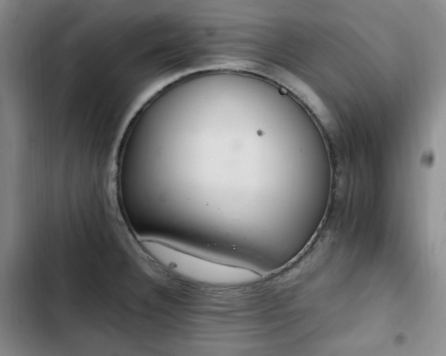 X0000102761332200808251019