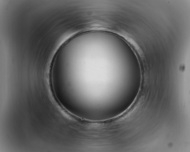 X0000102761333200808251019