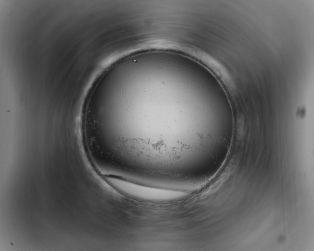 X0000102761334200808251019