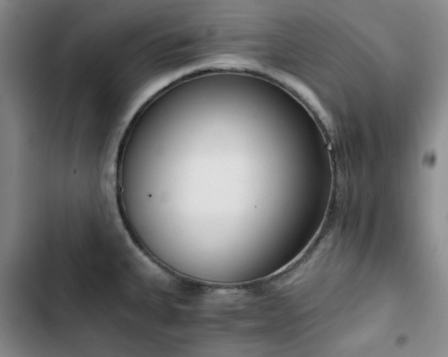 X0000102761335200808251019