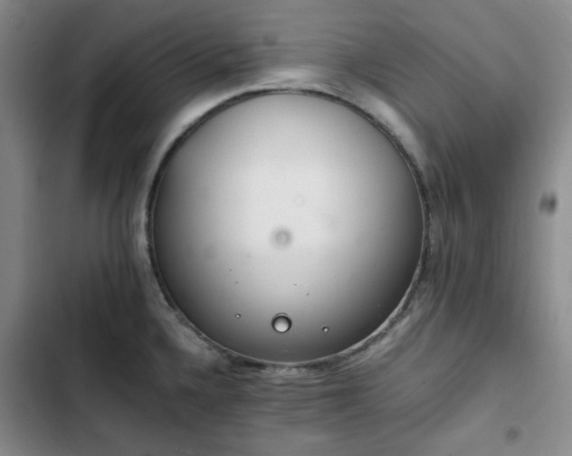 X0000102761336200808251019