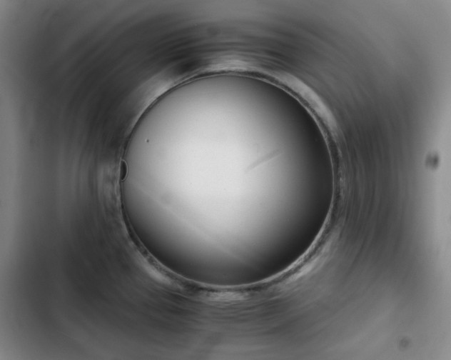 X0000102761337200808251019