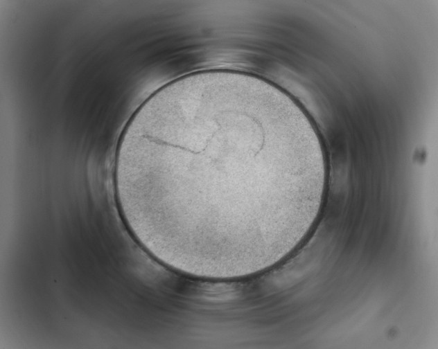 X0000102761338200808251019