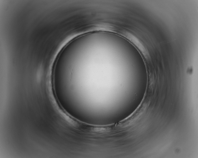 X0000102761339200808251019