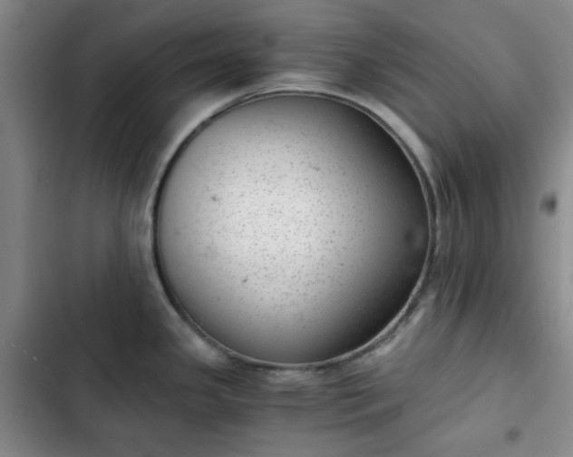 X0000102761341200808251019