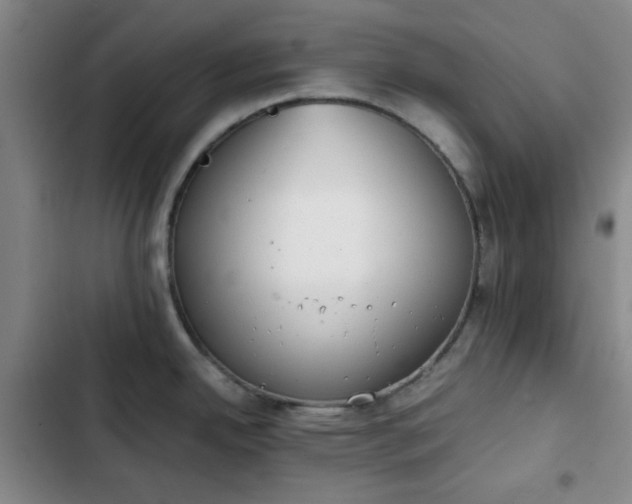 X0000102761342200808251019