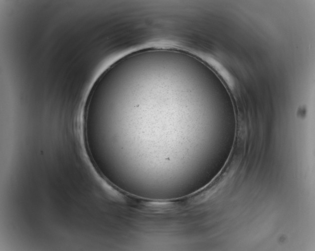 X0000102761343200808251019