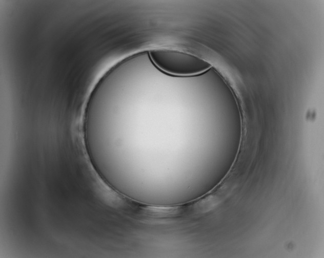 X0000102761344200808251019