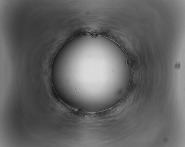 X0000102761345200808251019