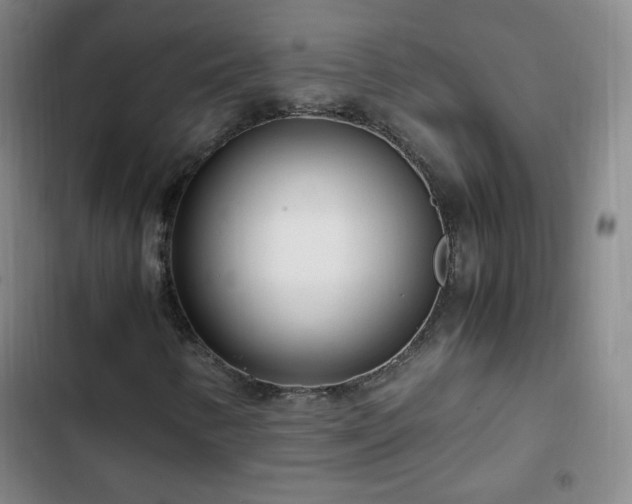 X0000102761346200808251019