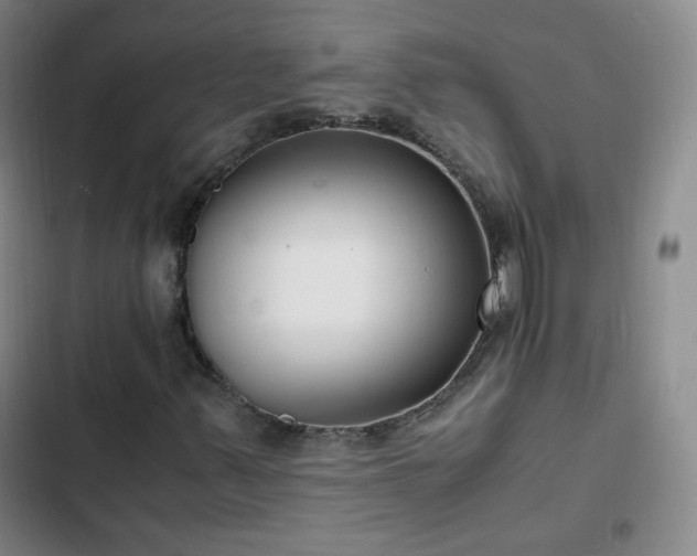 X0000102761347200808251019