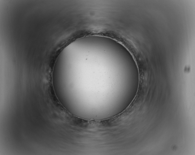 X0000102761349200808251019