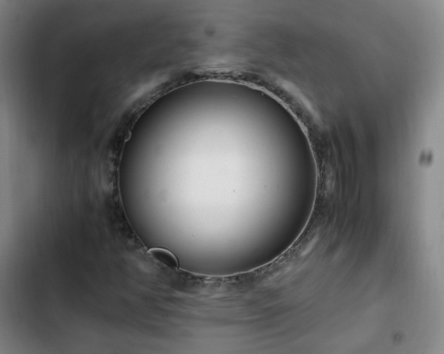 X0000102761350200808251019