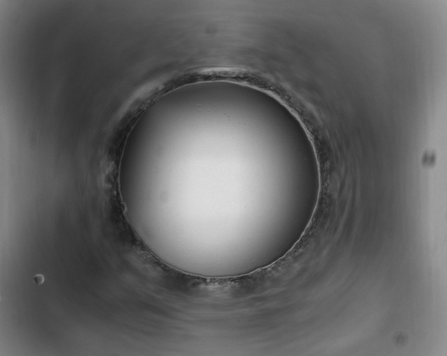 X0000102761351200808251019