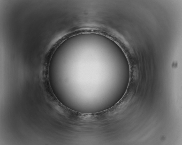 X0000102761352200808251019