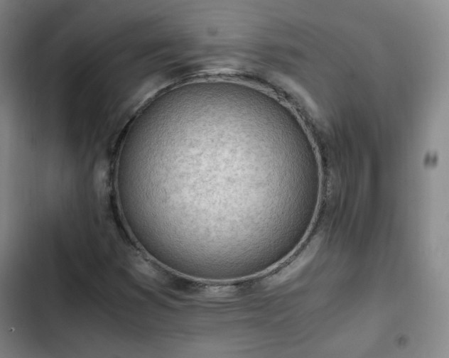 X0000102761353200808251019