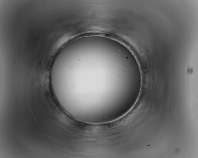 X0000102761355200808251018