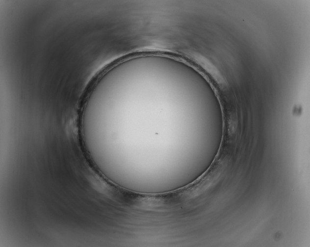 X0000102761356200808251018