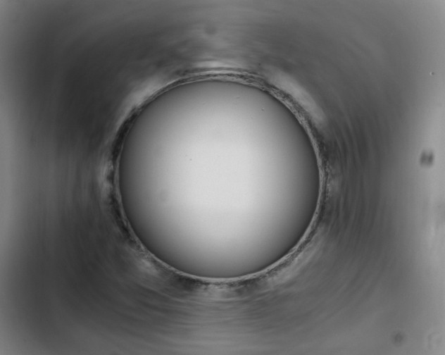 X0000102761357200808251018