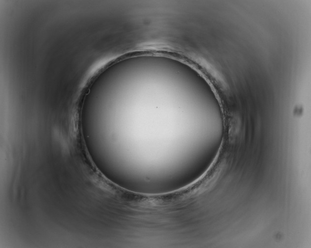 X0000102761358200808251018