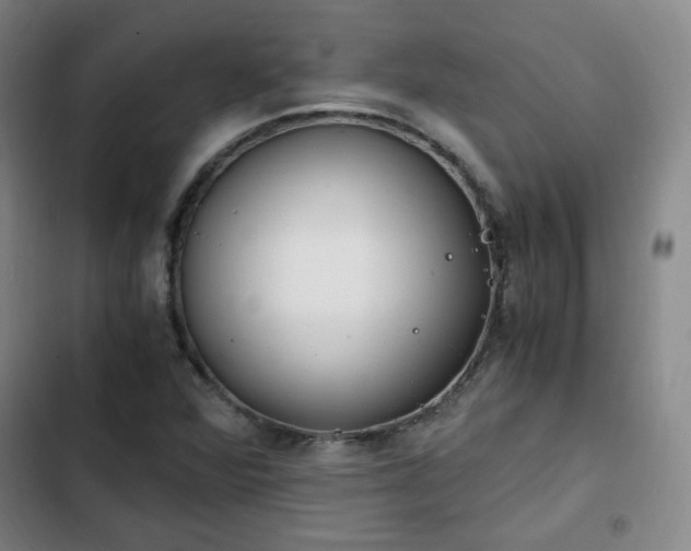 X0000102761360200808251018