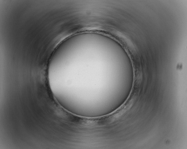 X0000102761361200808251018