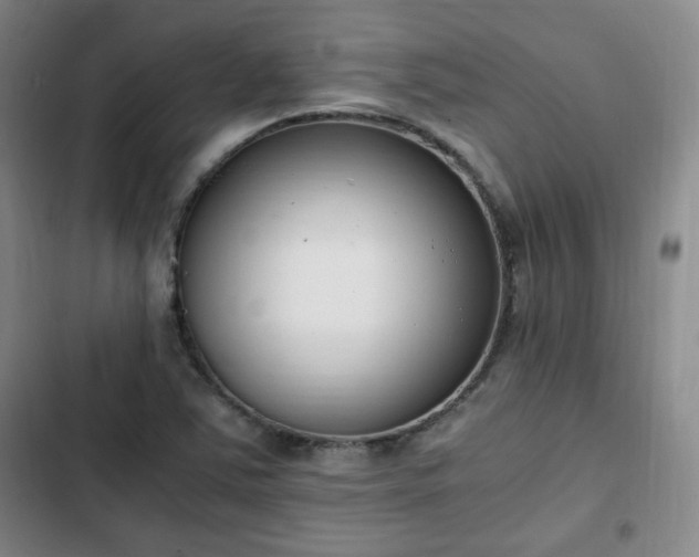 X0000102761363200808251018