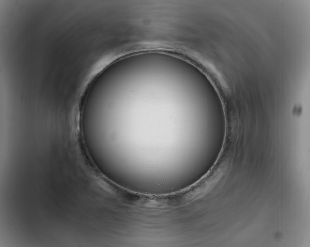 X0000102761365200808251018