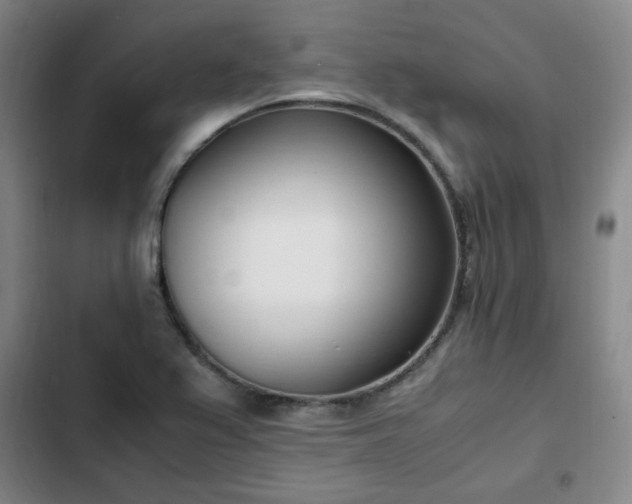 X0000102761367200808251018