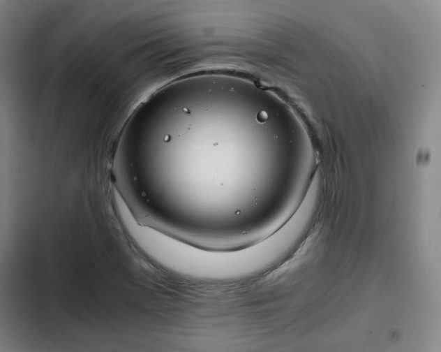 X0000102761369200808251018