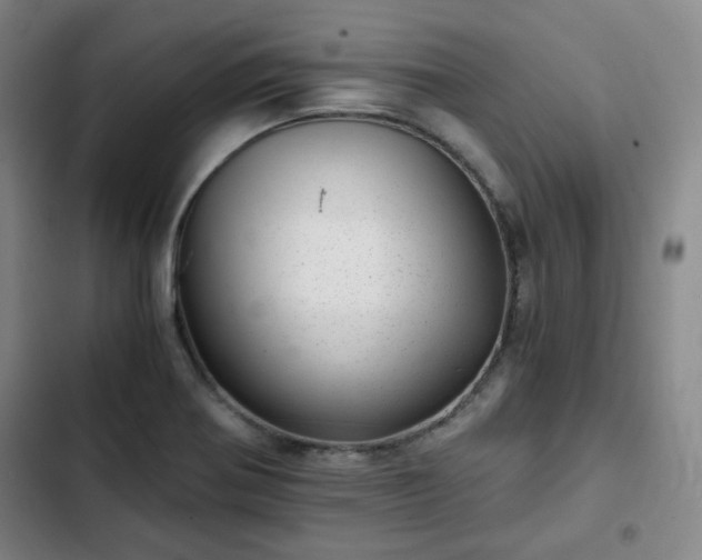 X0000102761370200808251018