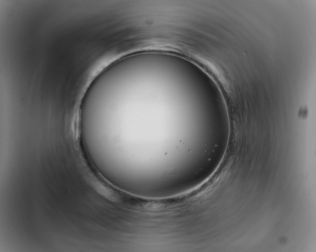 X0000102761371200808251018