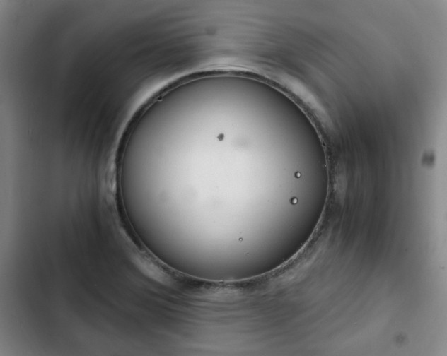 X0000102761372200808251018