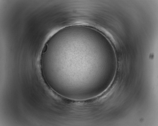 X0000102761373200808251018