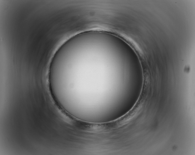 X0000102761375200808251018